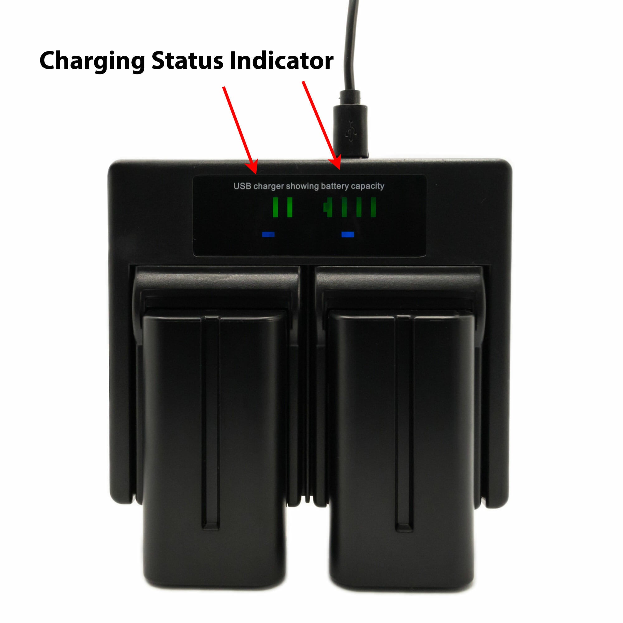 Hridz-NP-F550 2*Batteries & Dual Charger Compatible with Sony NPF 550 970 series