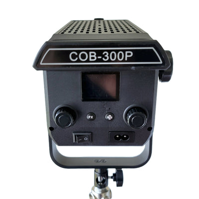Hridz 300W Video LED Light Ultra Bright Bi-Color COB Bowens Mount For Filmmaking Photography Stage