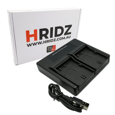 Hridz BLK22 2*Battery 1*Dual Charger for Panasonic DMW-BLK22 LUMIX DSLR Camera GH5s S9 G9